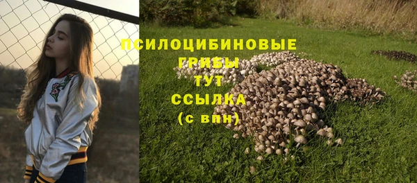 дмт Зеленокумск