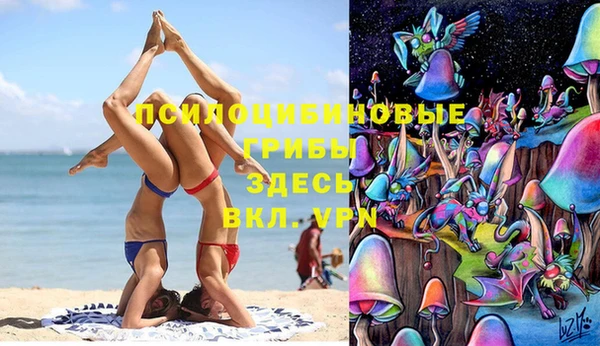 дмт Зеленокумск