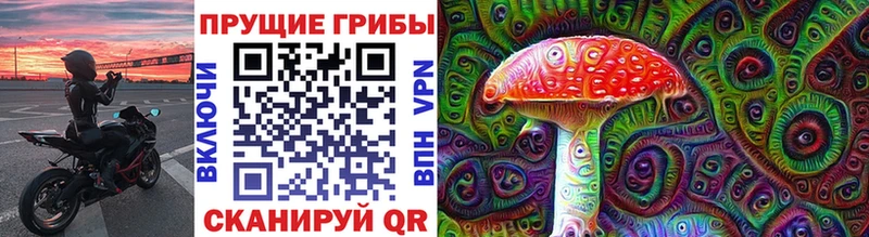 Псилоцибиновые грибы Psilocybine cubensis  Купить закладки  Химки 